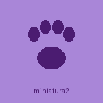 Pet atendido no Pet Spa da Cah