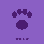 Pet atendido no Pet Spa da Cah
