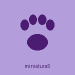 Pet atendido no Pet Spa da Cah
