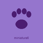 Pet atendido no Pet Spa da Cah